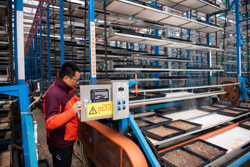 湖南江南生態(tài)農(nóng)業(yè)科技開發(fā)負責人薛永強 苗床調(diào)試與現(xiàn)代農(nóng)業(yè)租賃服務